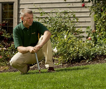 Lawn Care Programs Services Weed Man
